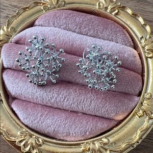 Bottega Veneta Silver Earrings new fashion jewelry